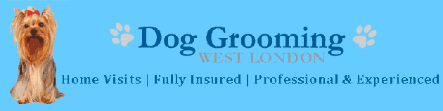 dog grooming UK logo